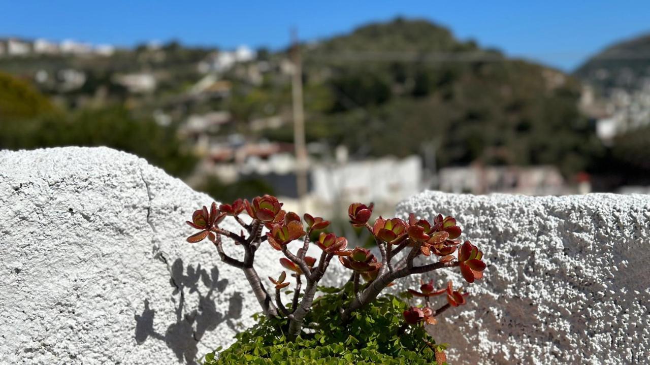 Villa La Milanina Lipari  Zewnętrze zdjęcie